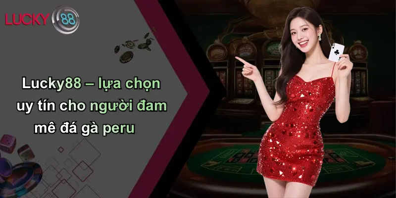 Đá Gà Peru: Đỉnh Cao Đấu Trường Gà Quốc Tế Tại Lucky88 3 Lucky88 – lựa chọn uy tín cho người đam mê đá gà peru