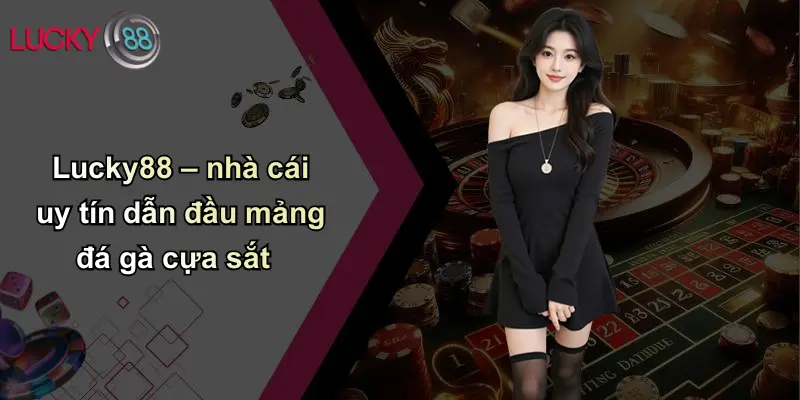 Lucky88 – nhà cái uy tín dẫn đầu mảng đá gà cựa sắt
