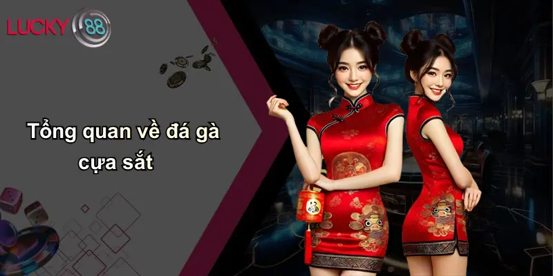 Tổng quan về đá gà cựa sắt